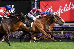 CANTALA STAKES - SUPERSTORM